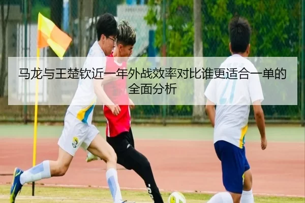 马龙与王楚钦近一年外战效率对比谁更适合一单的全面分析